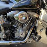 Aussiemadness's Avatar