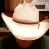 Saynt's Avatar