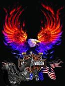 wideglideCVO's Avatar