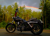 Wandering_Baloo's Avatar