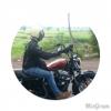 Hendy Halim's Avatar