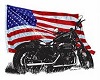 Merica's Avatar