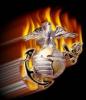 semperfi211's Avatar