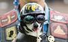 wild-bill's Avatar