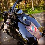 akdeadhead's Avatar