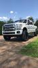 Powerstroke381's Avatar