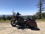 Cruizer40's Avatar