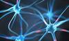 NeurOn's Avatar