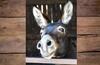 MuleDogie's Avatar