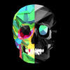 Flummi's Avatar