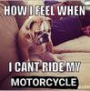 BJMRoadKing114's Avatar