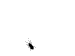 quitter's Avatar