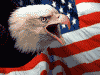 com399's Avatar