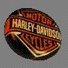 HogDawg41's Avatar