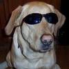 Wassup8687's Avatar