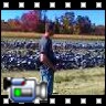 POWERLINEMAN's Avatar