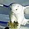 tx freebird's Avatar