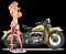 Bar_Hopper
