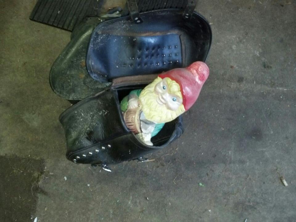 saddlebags-contest-winner.jpg