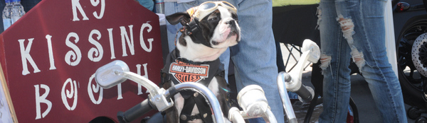 Chopperkissingbooth-001