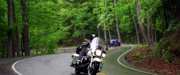 dragon-motorcycle-rain