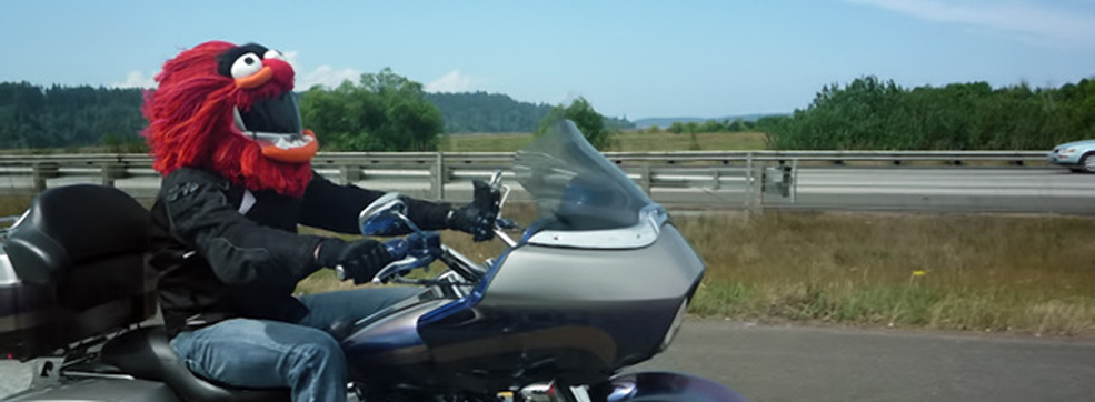 Animal: I Want to…Eat Bugs!