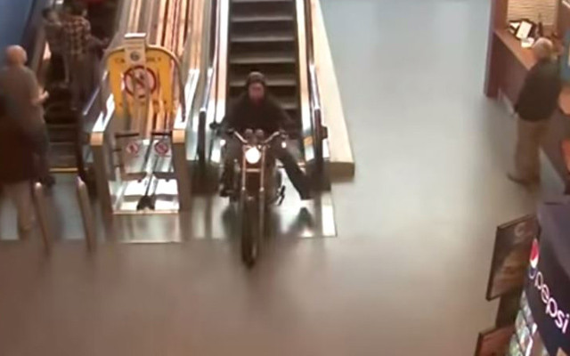 HOG WILD Harley-Davidson Chased In and Out of a Canadian Mall!