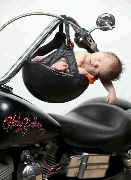 HOG HORROR STORY This Harley-Davidson Has to Go to Make Room for a Baby