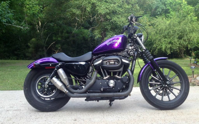 A Hard Candy Purple 2014 Harley-Davidson Iron 883 Build