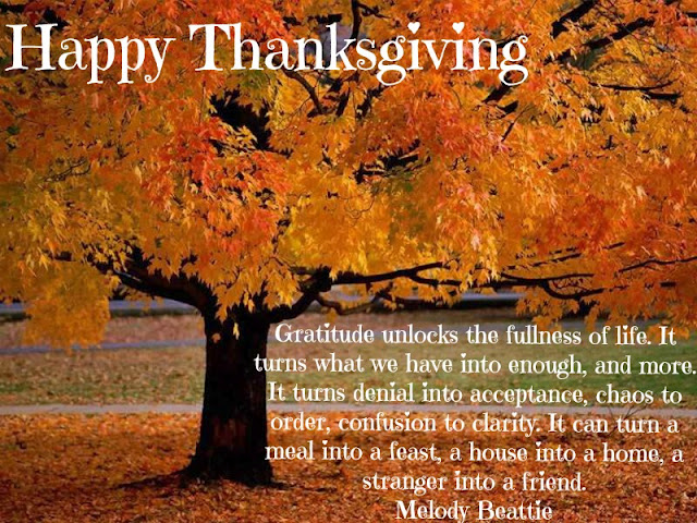 HDForums-Happy Thanksgiving