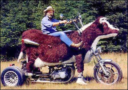 HDForums-redneck_cow-a-saki