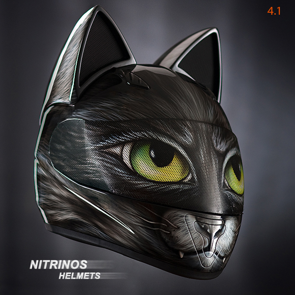 Cat Helmet – Definitely Not 9 Lives