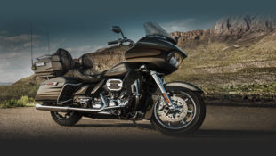 Are You Experienced? Project RUSHMORE Rolls On Strong