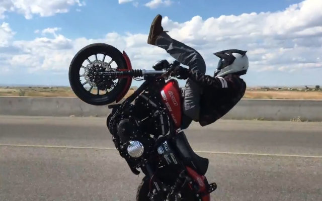 This is How You Do a Wheelie on a Harley-Davidson Sportster