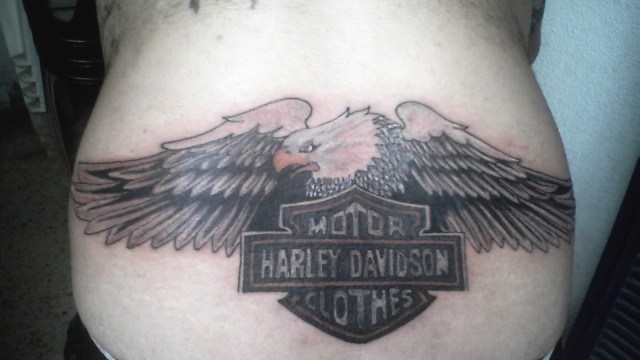 harley-davidson-wings-tattoo-on-arm-3-189092.jpg