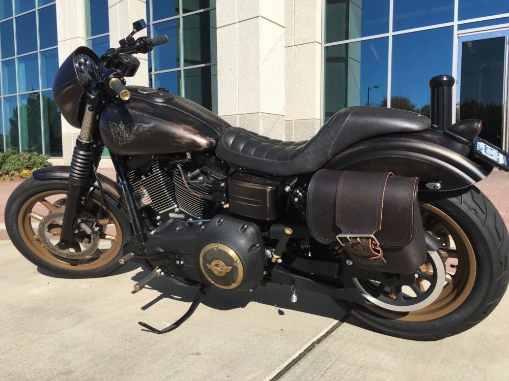 2016 DYNA