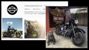 10 Best Harley Instagram Accounts