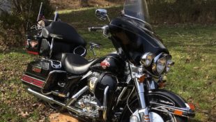 Harley
