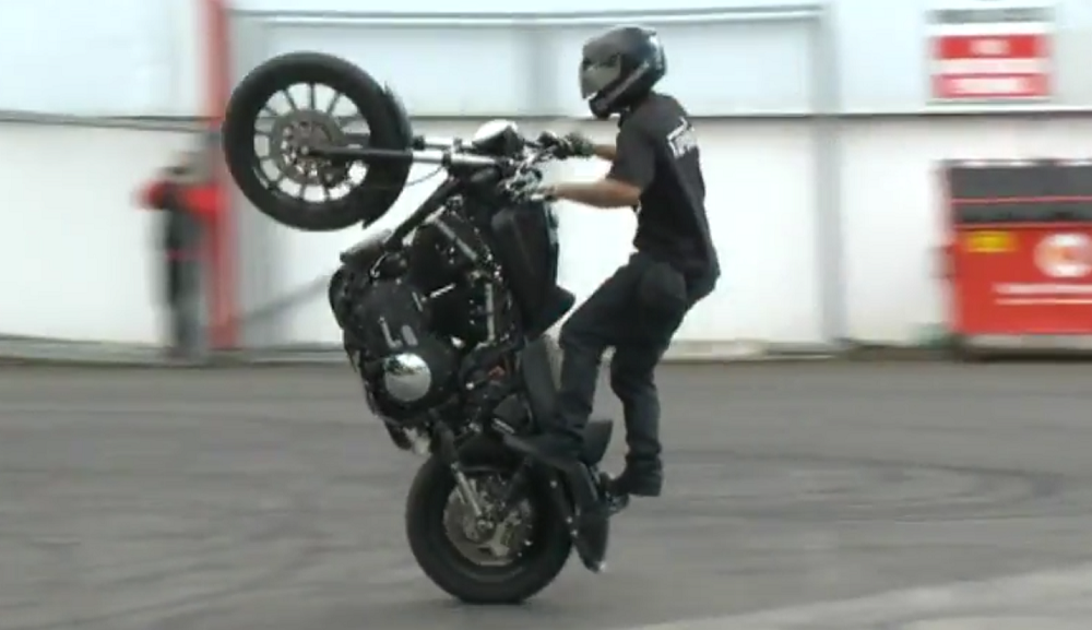 Harley Stunt Rider