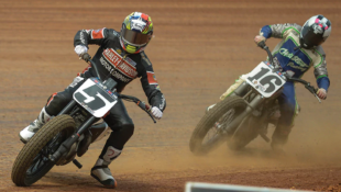 Harley Flat Track