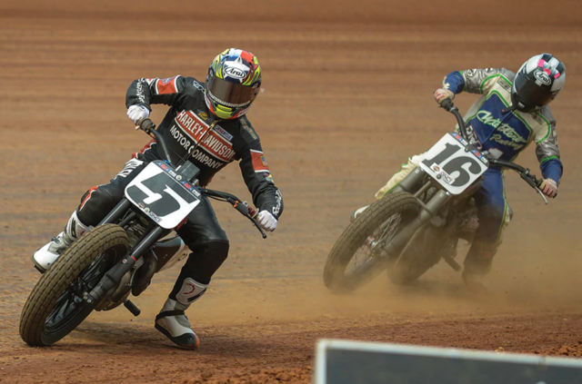 Harley Flat Track