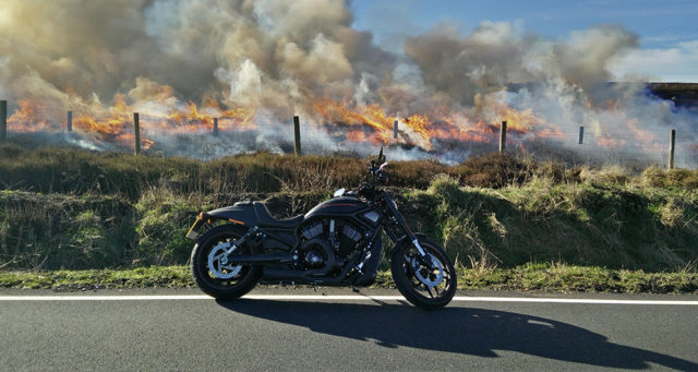 Harley-Davidson Night Rod Special With Fire Background