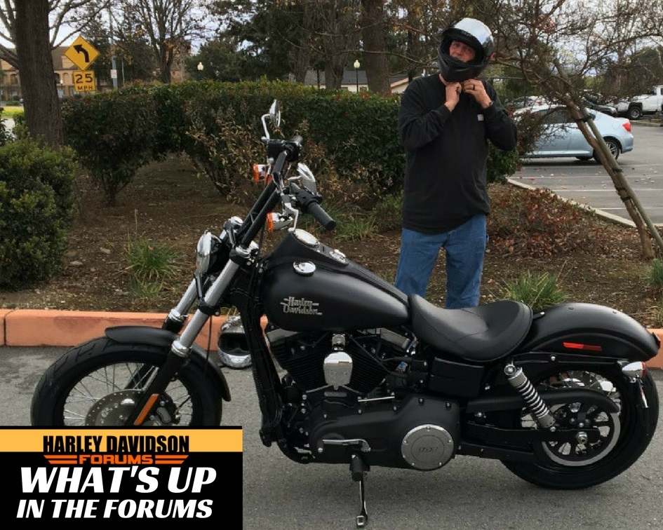 2017 Harley-Davidson Street Bob in Black Denim