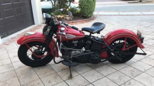 Knucklehead