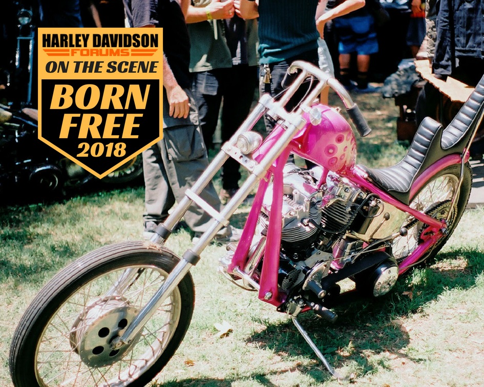 Best Choppers & Customs at the 10th Annual ‘Born Free’ Bike Show