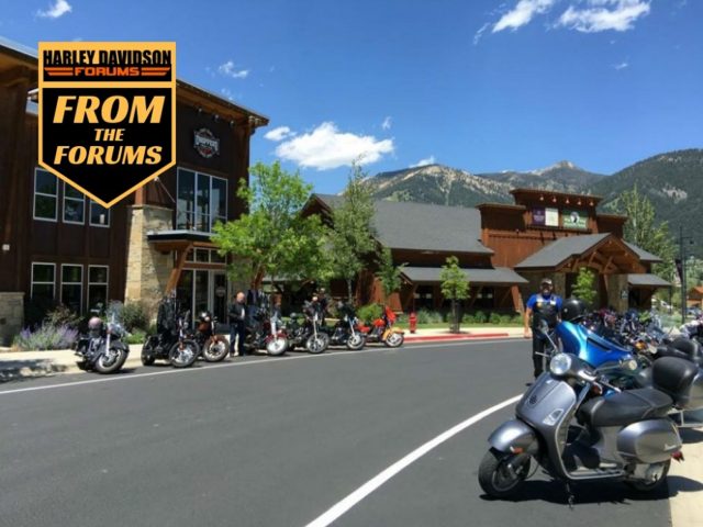 <em>H-D Forums</em> Things to Do Guide to Yellowstone National Park