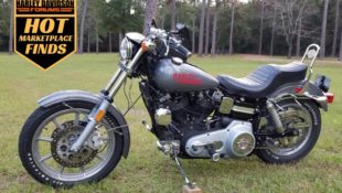 Five Coolest Harleys We Found in Our Marketplace