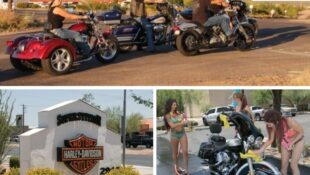 Arizona Harley Dealer Seeks Vendors for Patriot Day Celebration