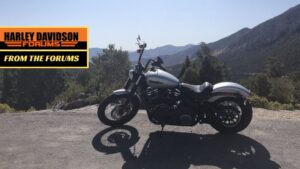 <i>H-D Forums</i> Asks: ‘Which Pipes for My New Street Bob?’