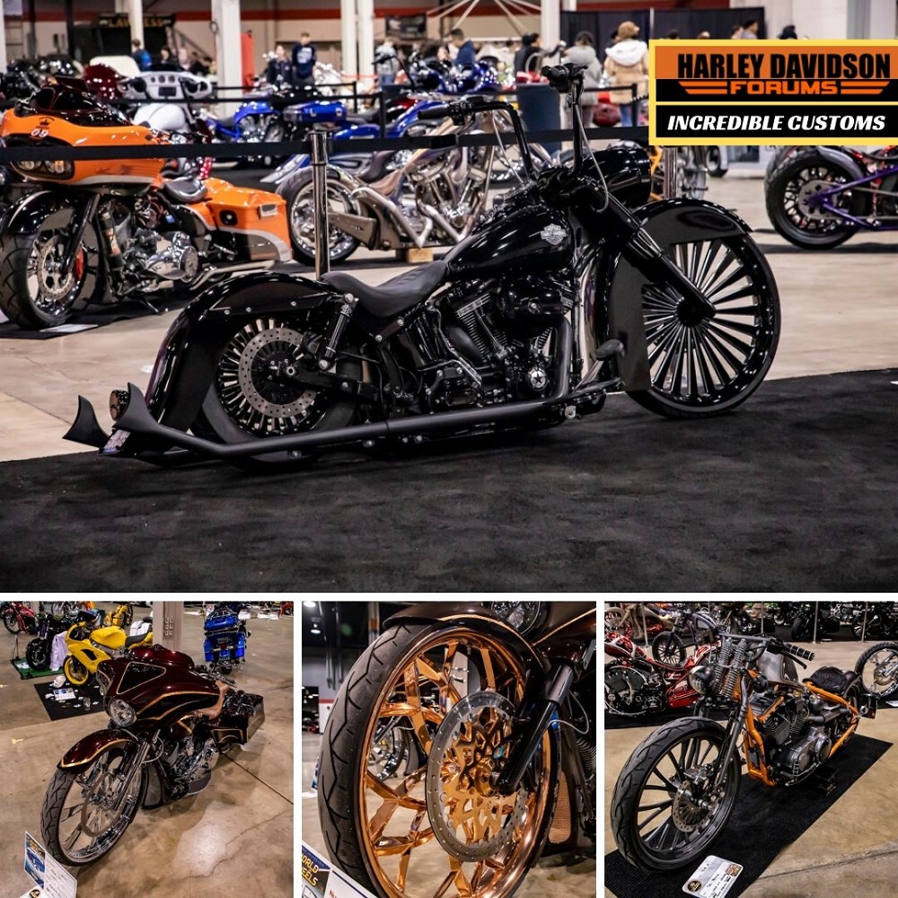 H-D Forums at World of Wheels